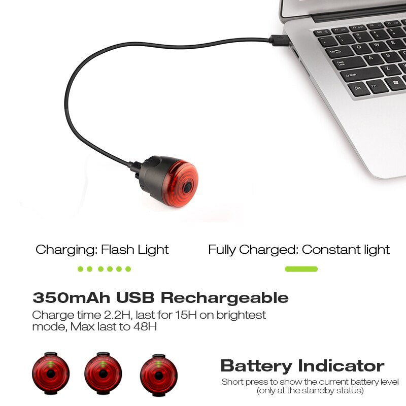 Smart LED Bicycle Light Rear Back Mtb Road Brake Light Signal USB Rechargeable Red Cycling Lamp